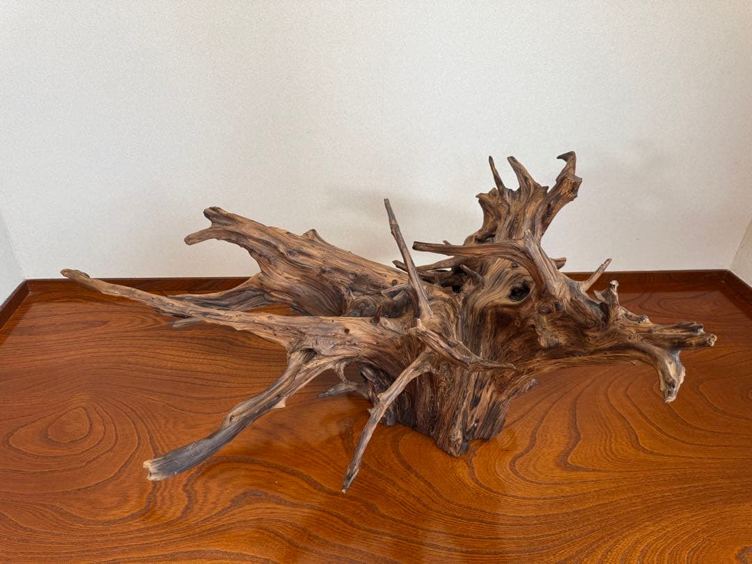 とても美しい流木　特大　水槽　インテリア　美術品　アクアリウム　中庭　玄関