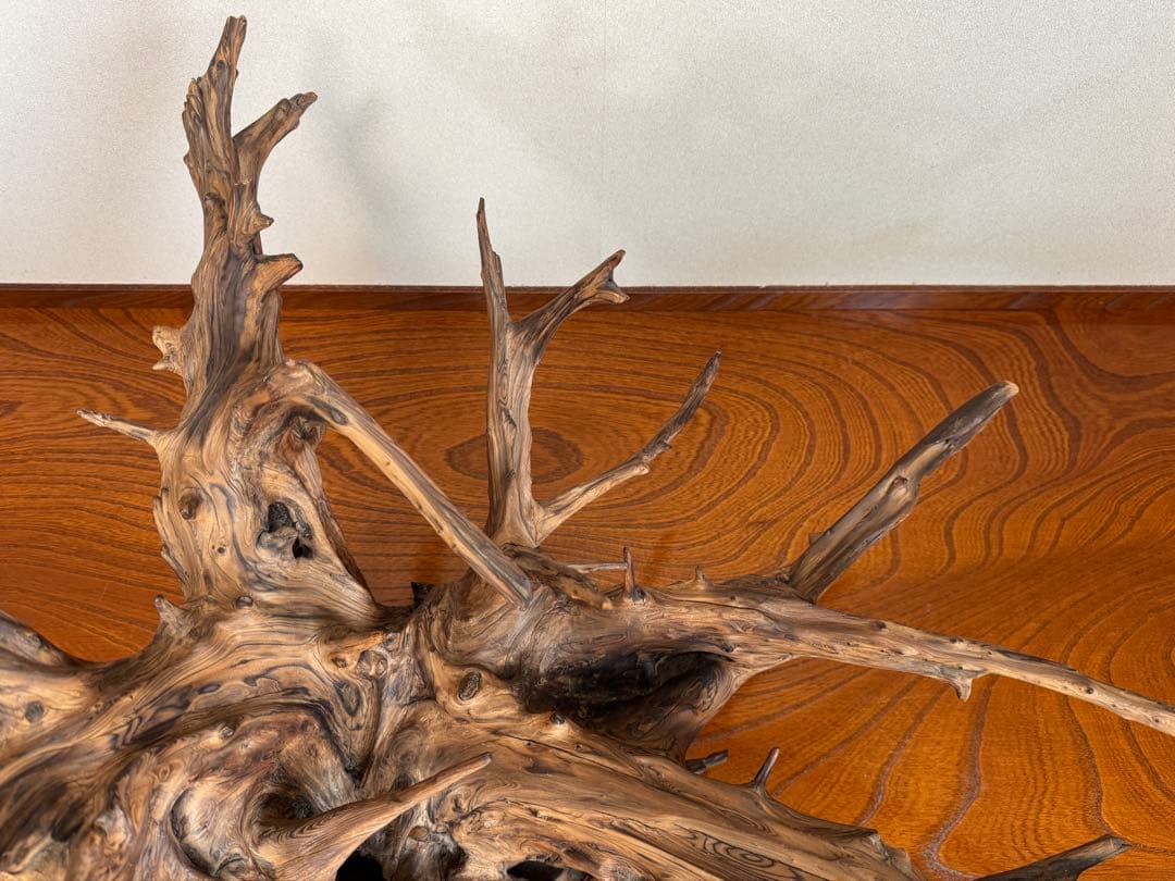 とても美しい流木　特大　水槽　インテリア　美術品　アクアリウム　中庭　玄関