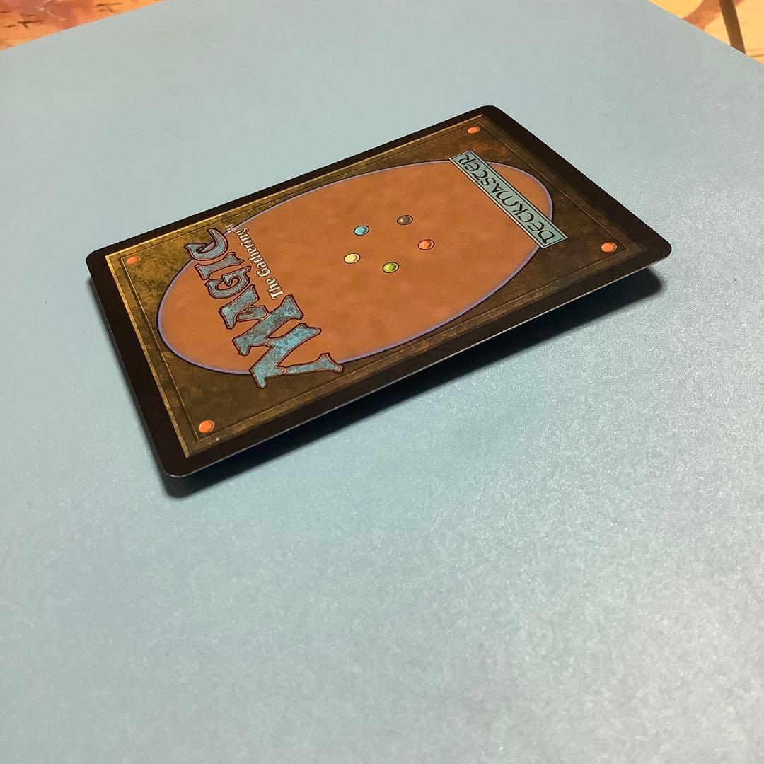 マイコシンスの格子/Mycosynth Lattice  DST英語foil