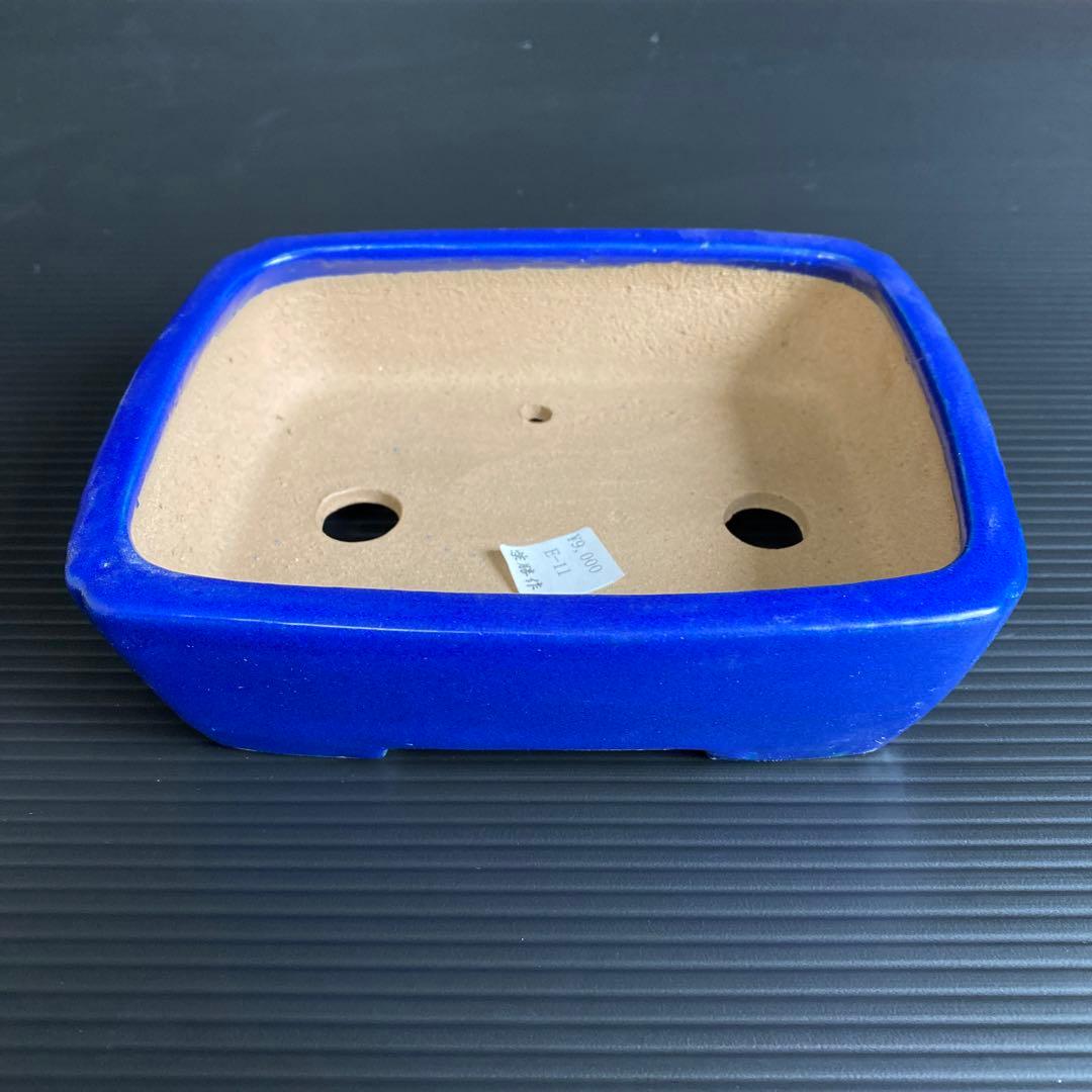 柴勝　小品盆栽