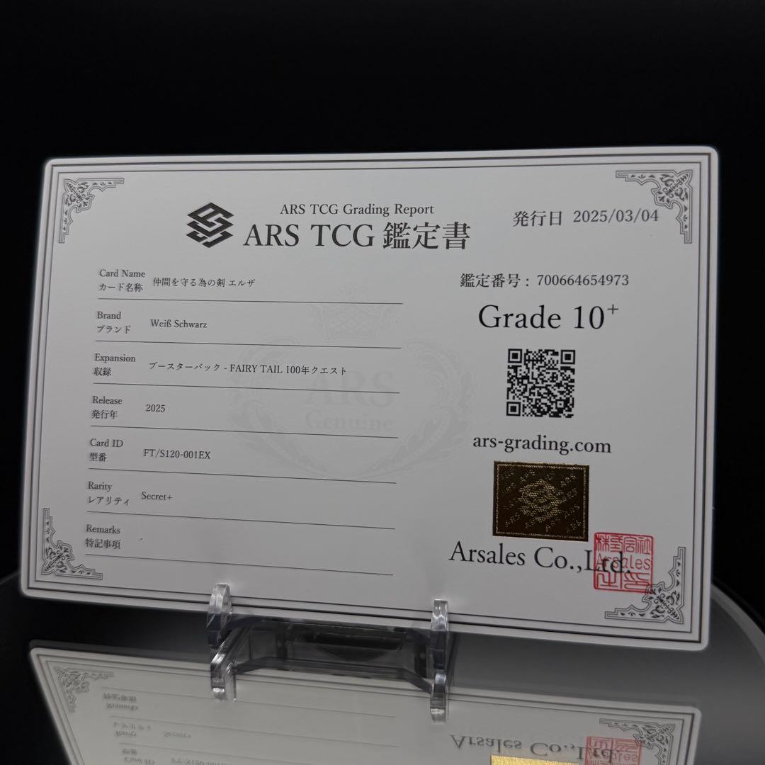 仲間を守る為の剣 エルザ SEC＋　ARS10＋　100年クエスト