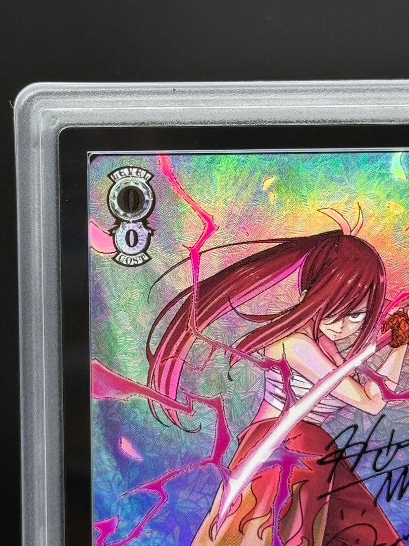 仲間を守る為の剣 エルザ SEC＋　ARS10＋　100年クエスト