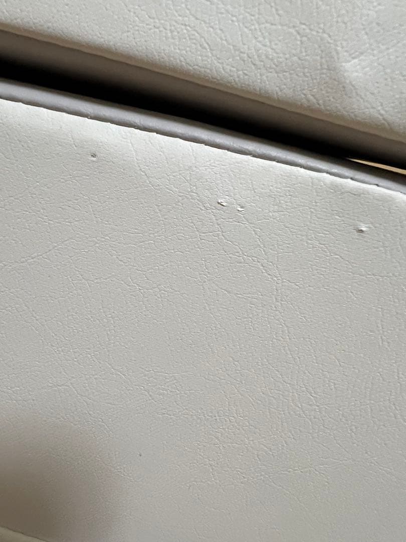 dfang ドッグステップ　ペットステップ　ディパン