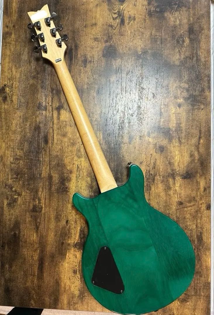 Daisy Rock エレキギター　ソフトケース付