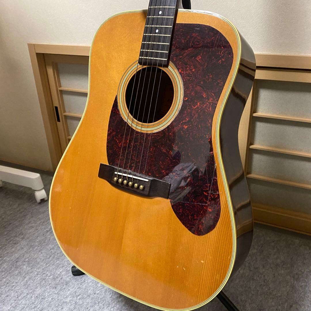 アコースティックギター レスターフラットピックガード ミスチル 桜井和寿