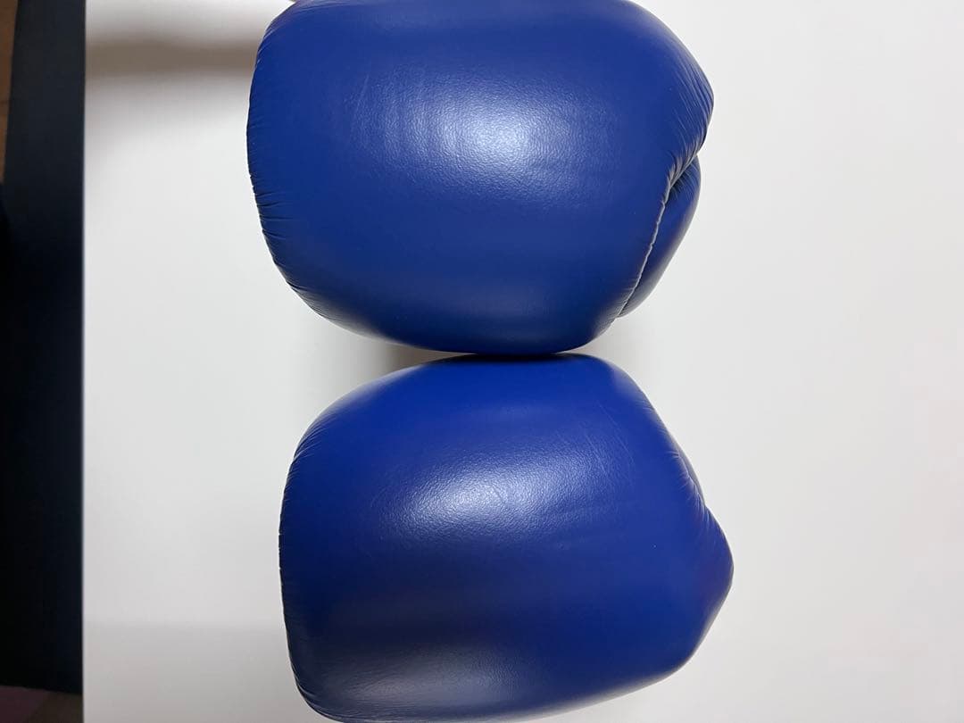 WINDY ボクシンググローブ 16 oz BGVH 青