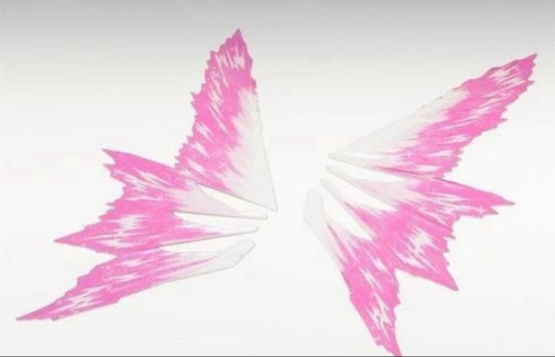 RG 1/144 デスティニーガンダム ［チタニウムフィニッシュ］光の翼セット