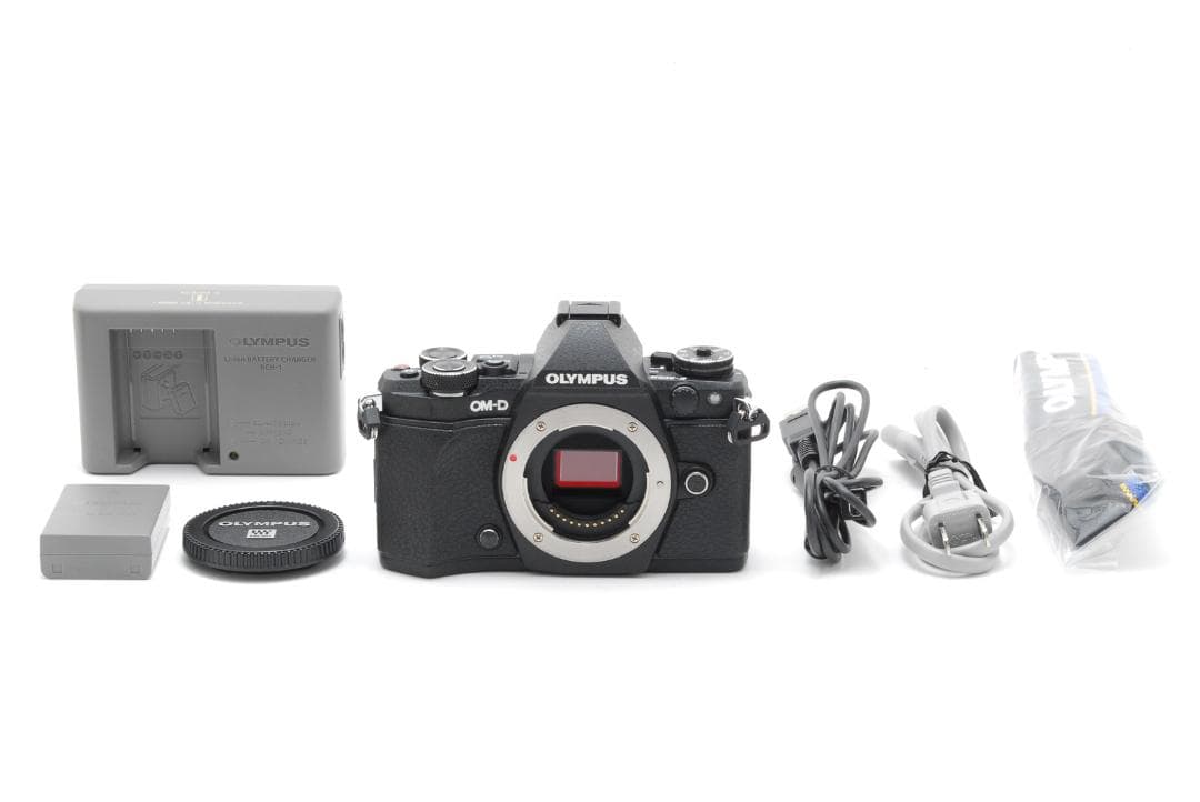 【美品・500ショット】OLYMPUS OM-D E-M5 MarkII ボディ