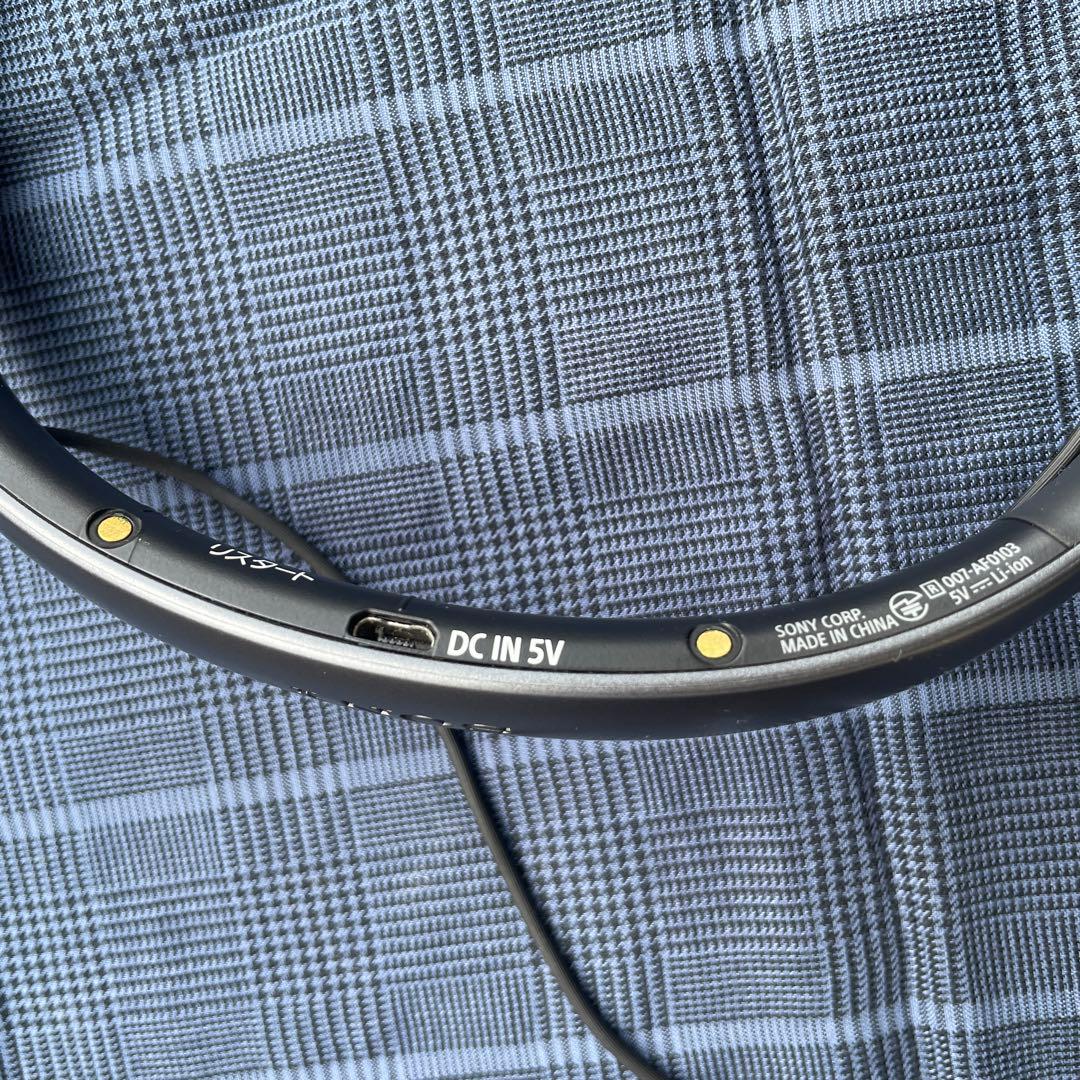 SONY サウンドモニタリングレシーバー　SMR-10