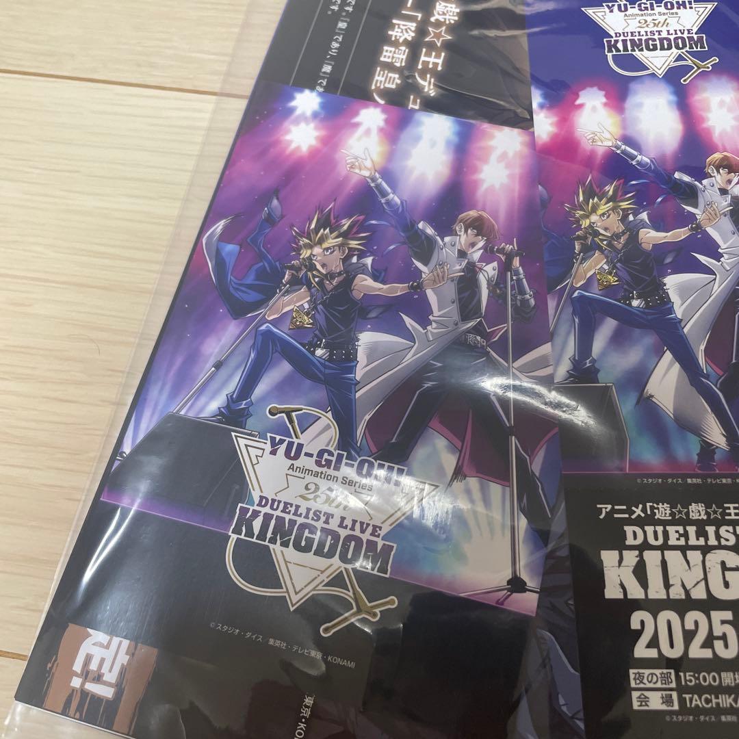 遊戯王25th Duelist Live Kingdom S席チケット特製グッズ