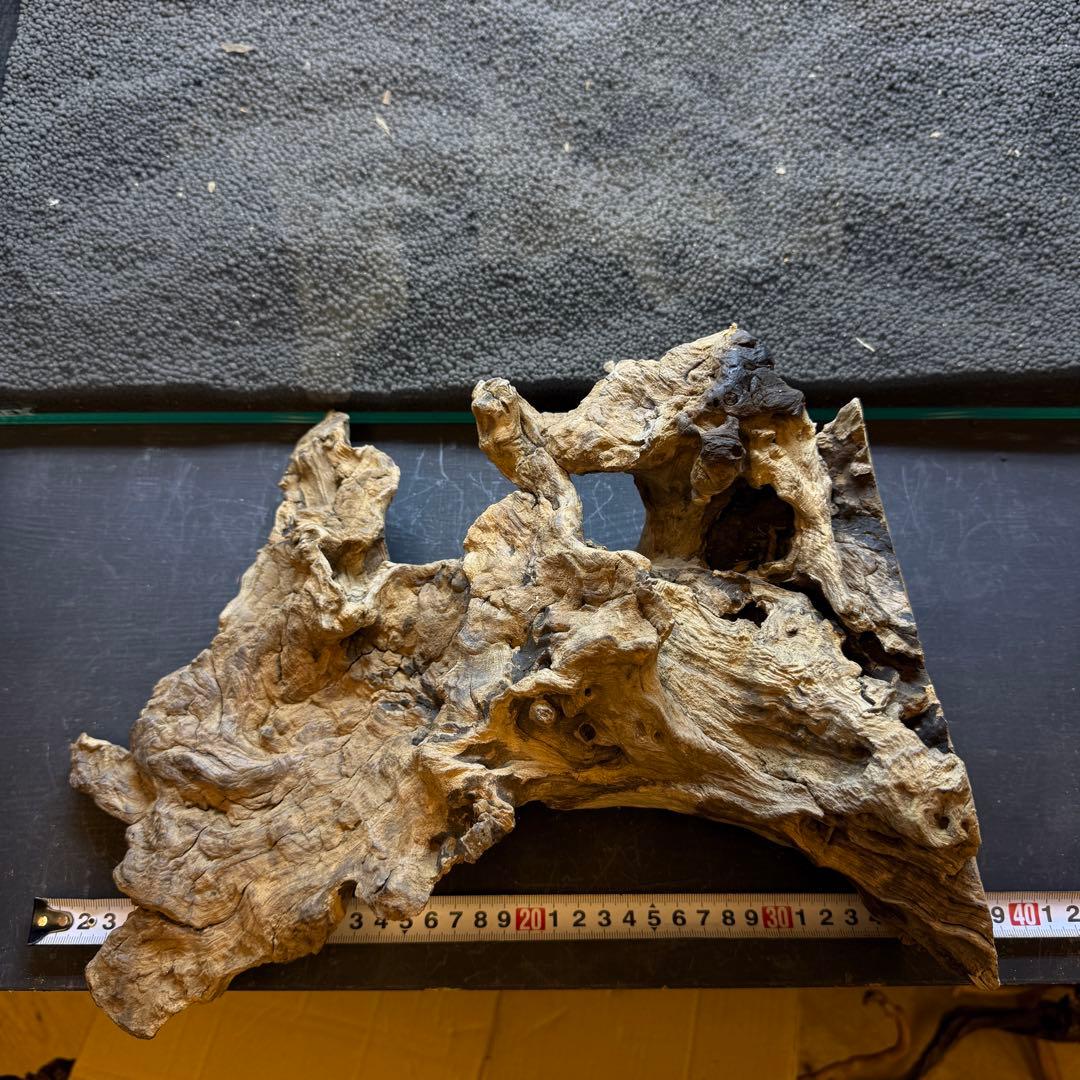 MJW-6882 ジンジャーウッド　レイアウトセット　天然流木　アクアリウム