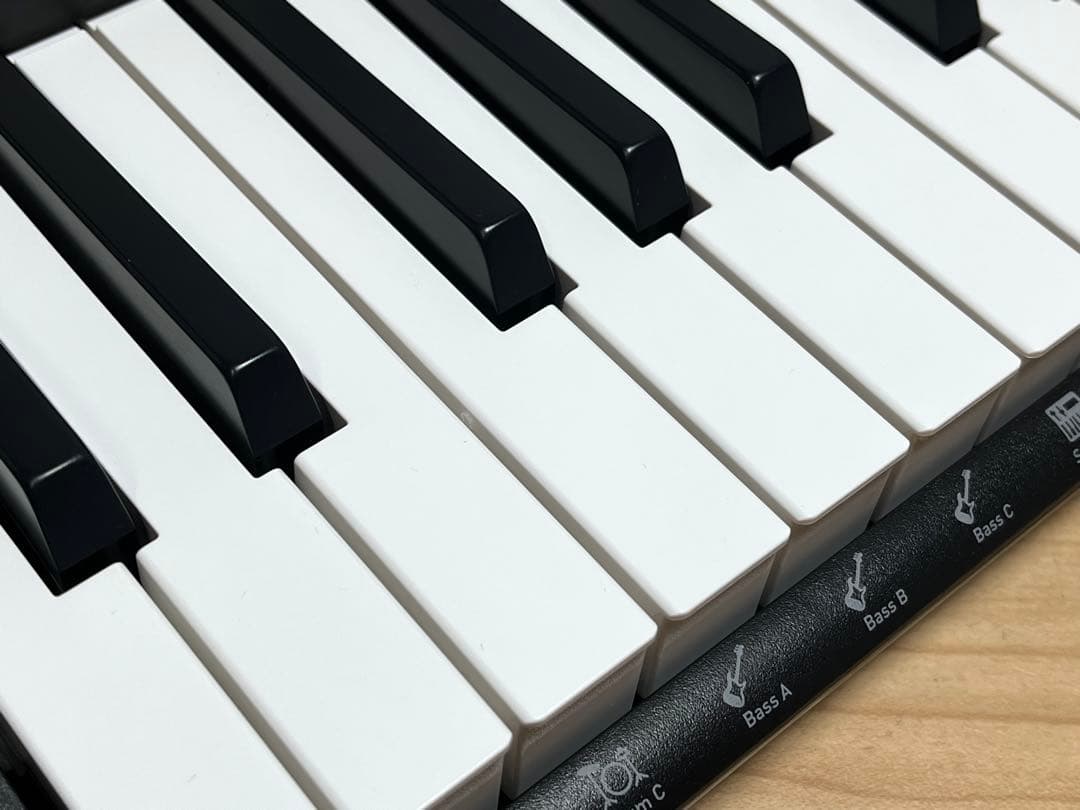 カシオ キーボード Casiotone CT-S195 / 61鍵盤 / 美品