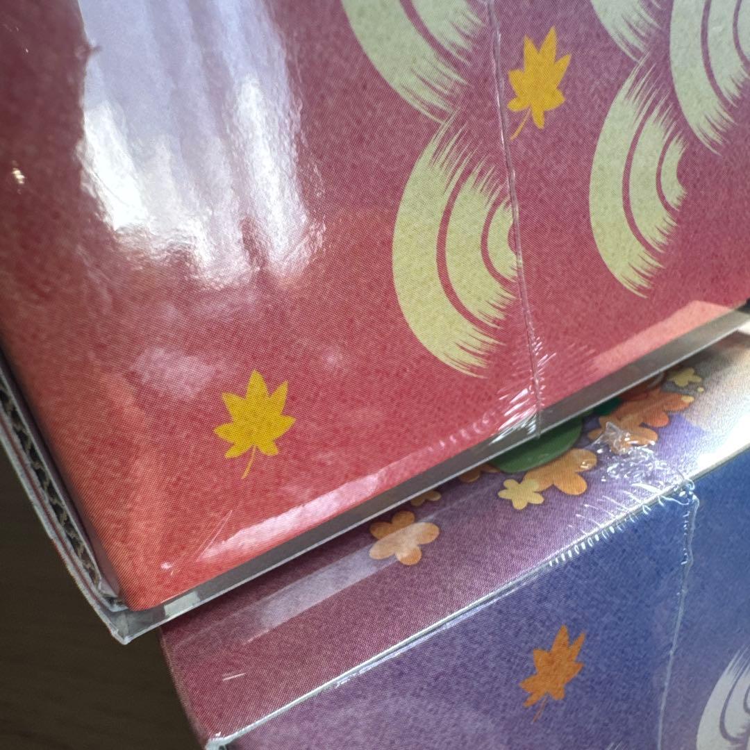 ポケモンセンター スペシャルBOX ヒロシマ×2 シュリンク付き