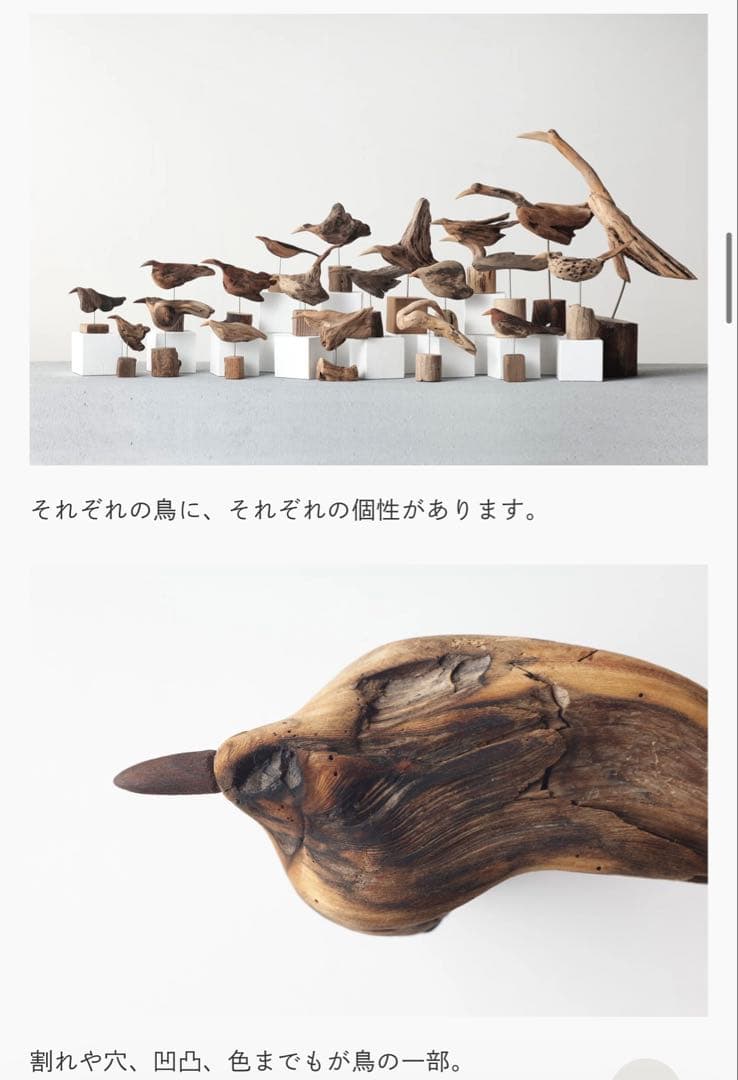 希少　針原修　流木の鳥　オブジェ　一点物　鳥　インテリア　置き物　置物　木