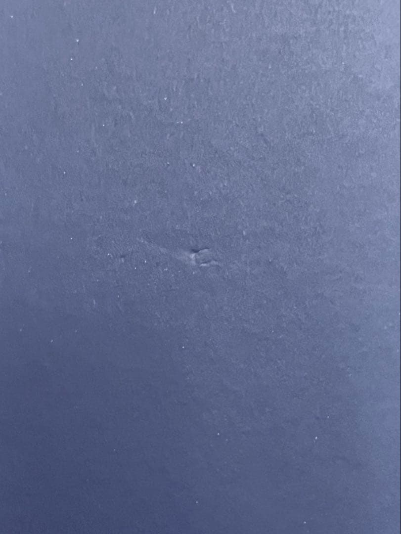 た*ん様 Johnnie Walker Blue Label 750ml 限定版