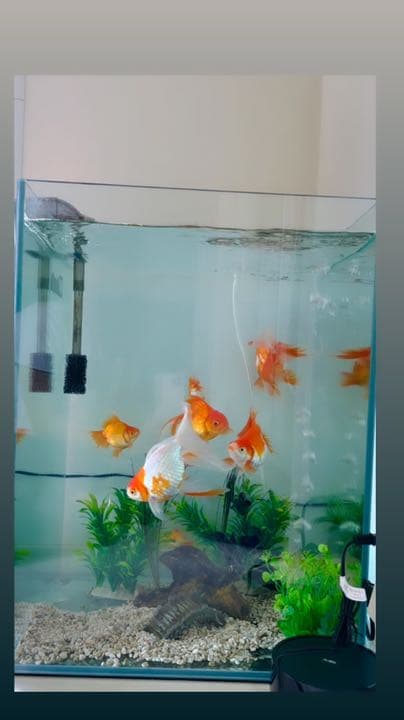 水槽ハイタイプ45.45.60オールガラス