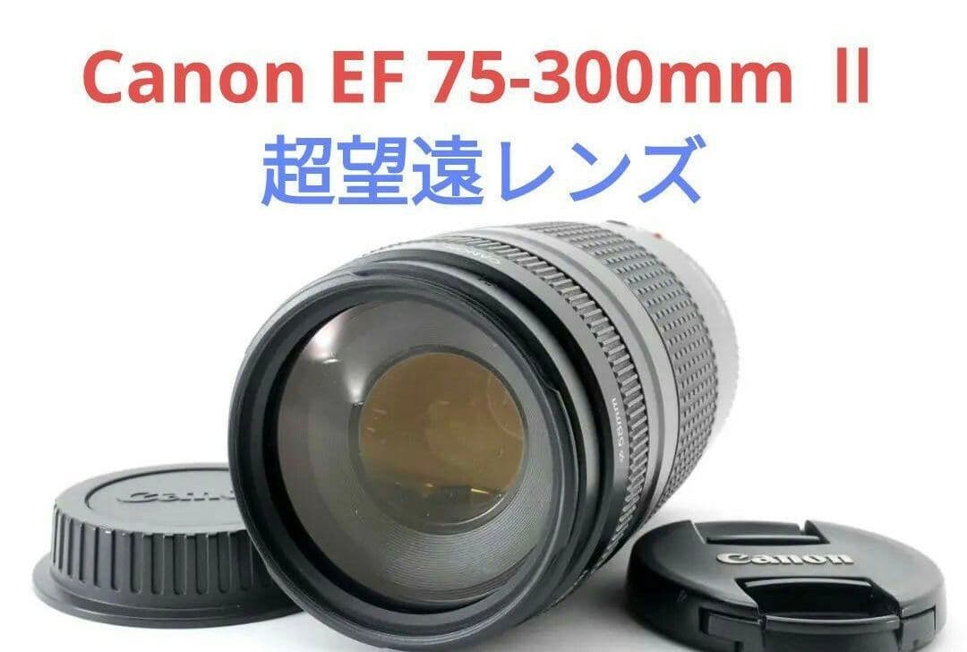 1月15日限定特価♪【超望遠レンズ】Canon EF 75-300mm Ⅱ