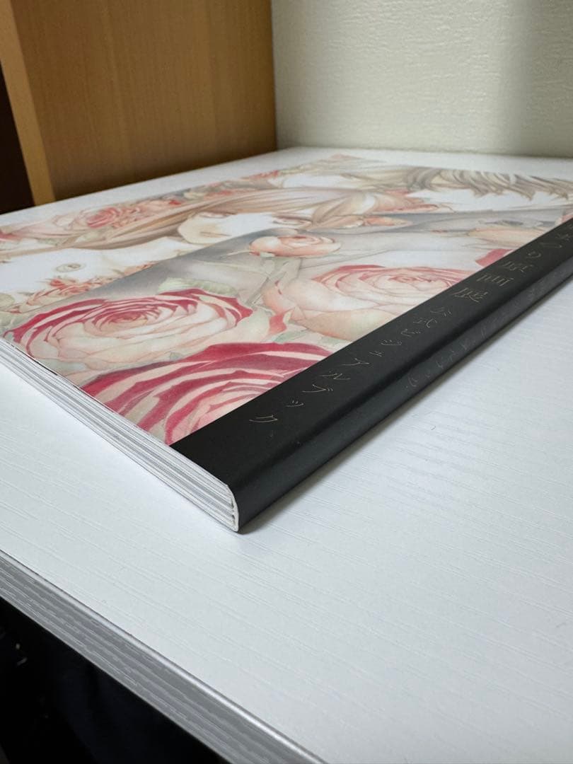 ヴァンパイア騎士 25周年 樋野まつり原画展 公式ビジュアルブック