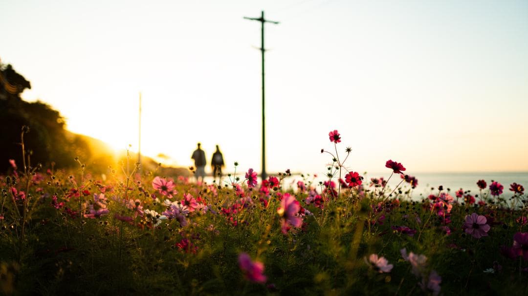 SIGMA 35mm F1.4 DG HSM art ソニー Aマウント