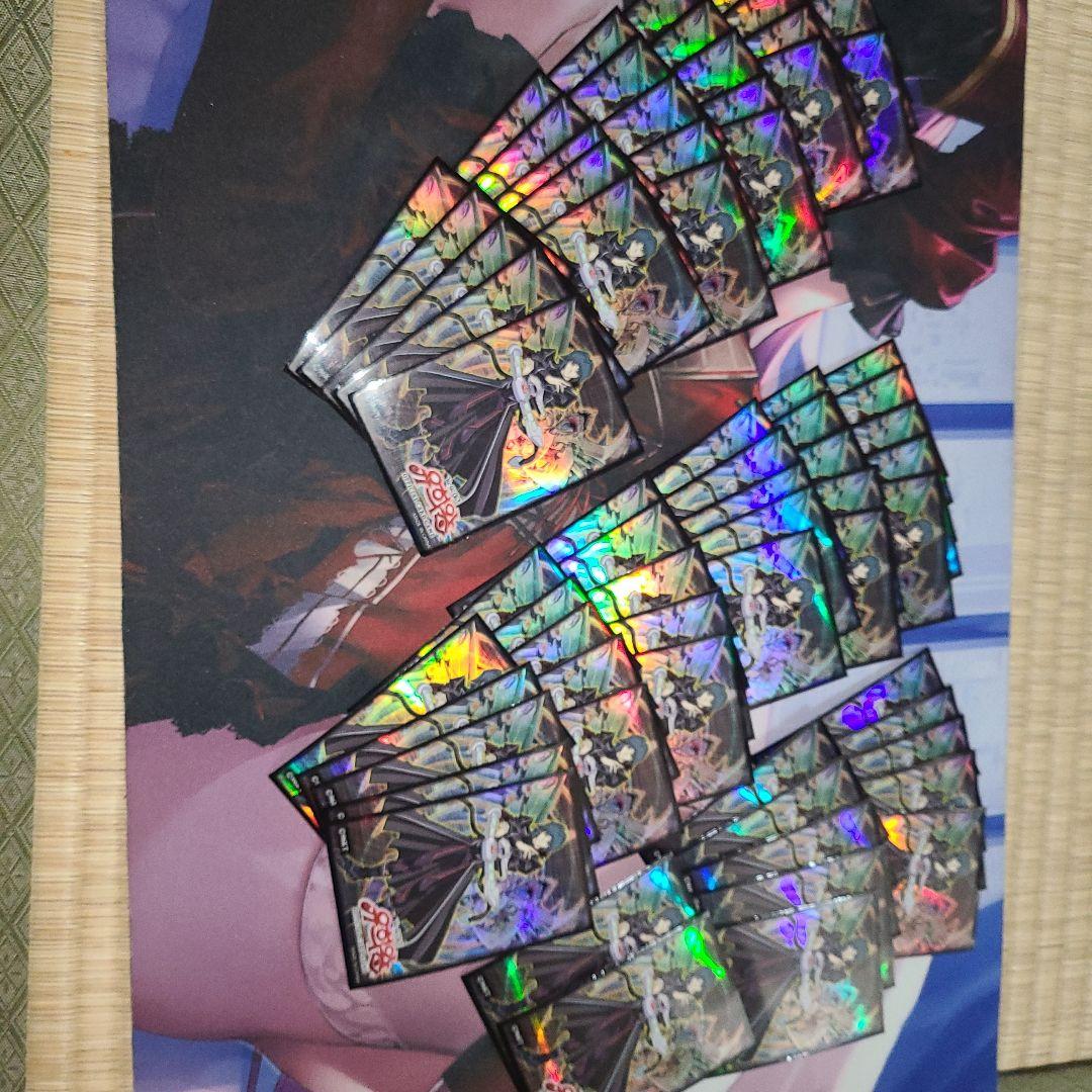 ヘルカイザー亮　スリーブ　71枚