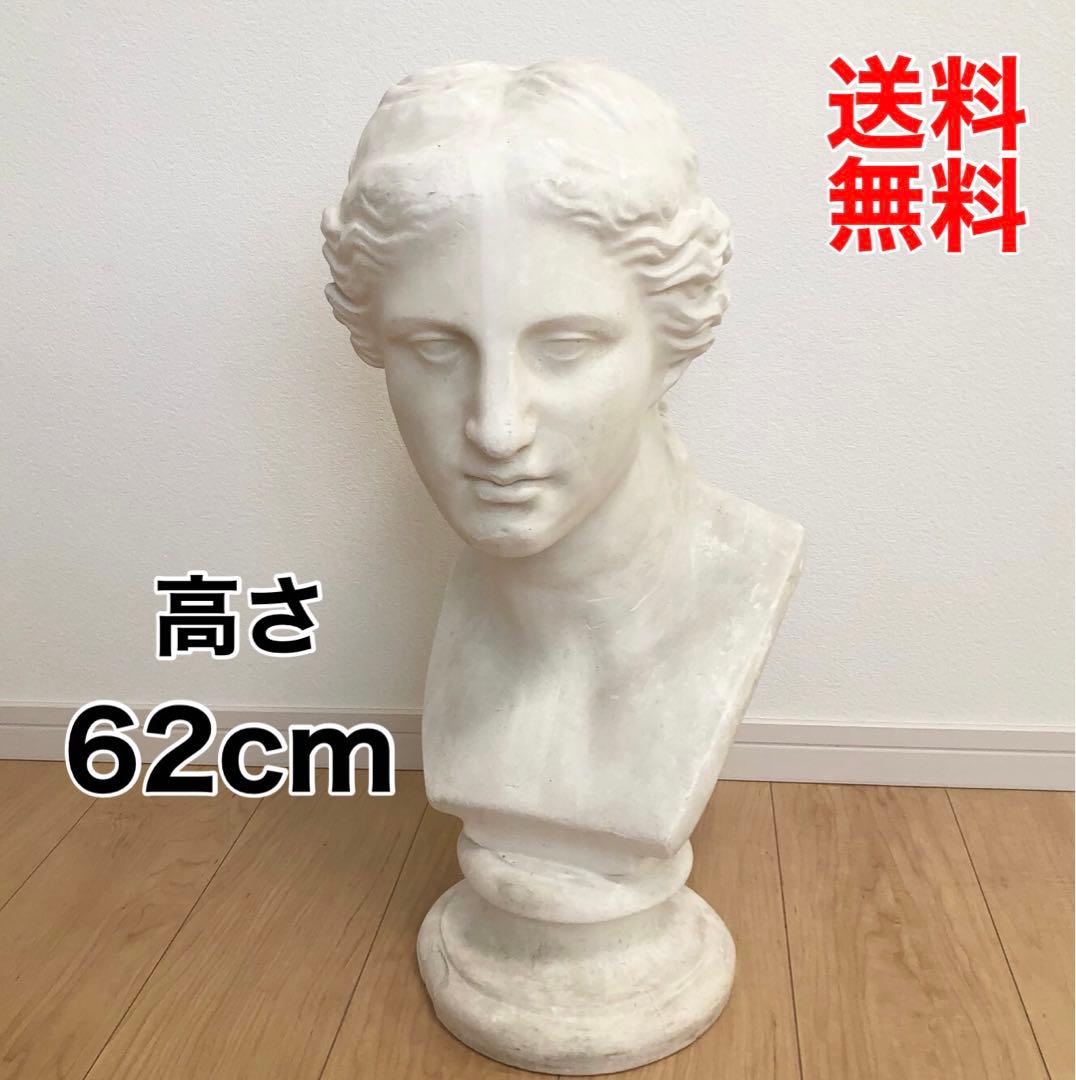 石膏像　ミロのビーナス　胸像　デッサン　スタジオ　オブジェ