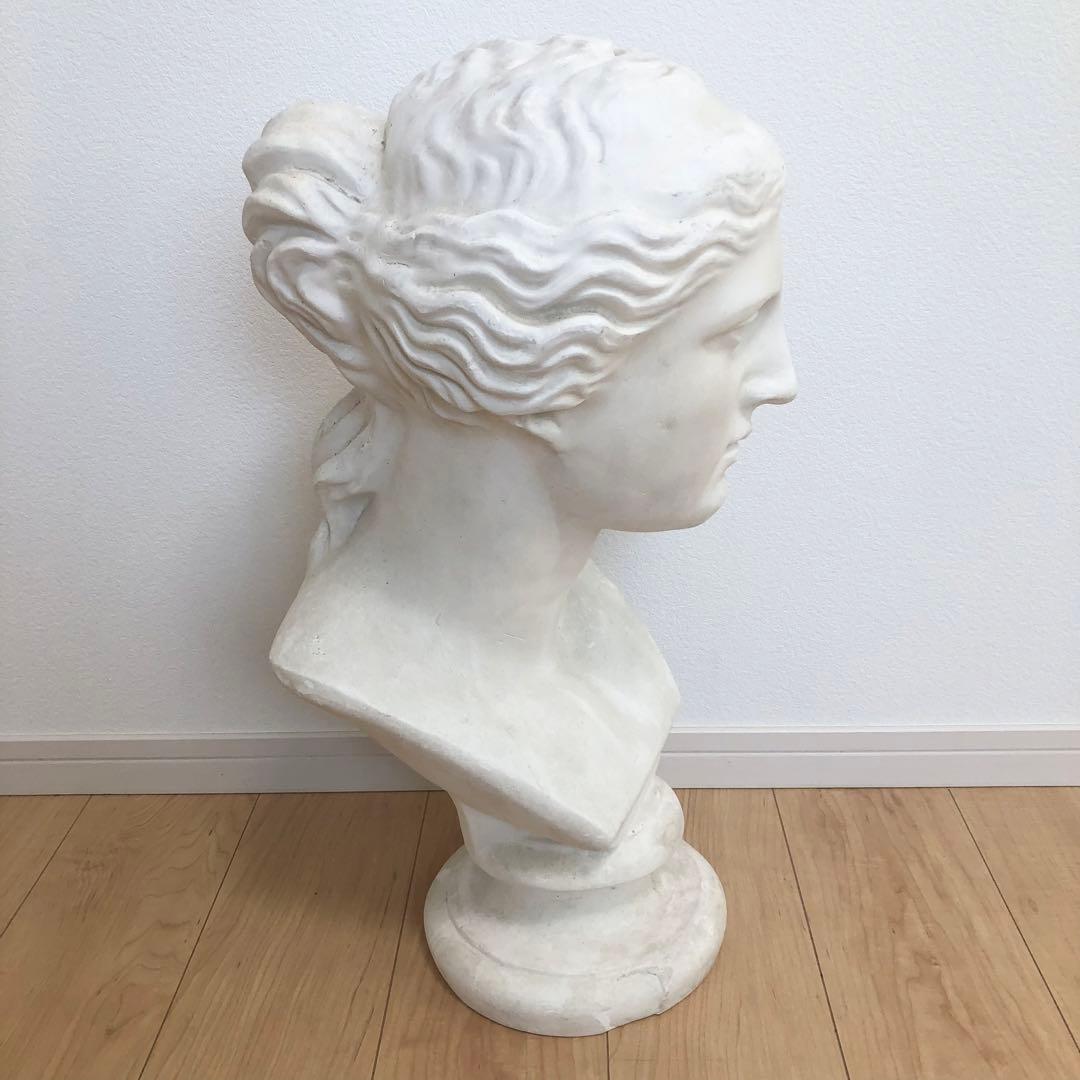 石膏像　ミロのビーナス　胸像　デッサン　スタジオ　オブジェ