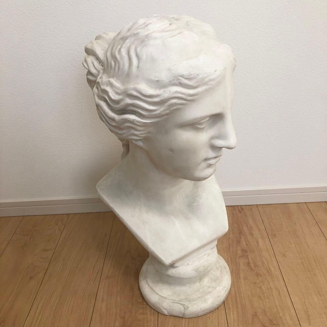 石膏像　ミロのビーナス　胸像　デッサン　スタジオ　オブジェ