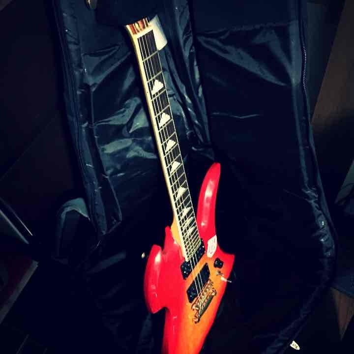 フェルナンデス モッキンバード 他いろいろ