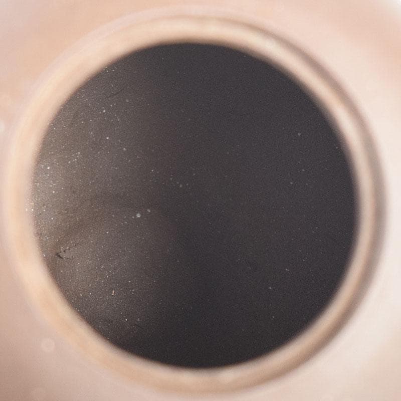 中国　紫砂　朱泥　栗鼠葡萄文　急須　茶壷　在銘　N　8162