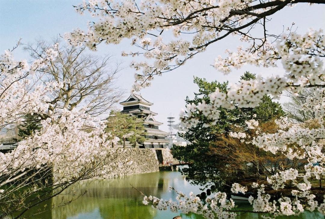 ☆完動品☆ Nikon F2 フォトミック A シルバー　レンズ付き