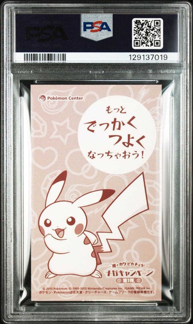 ポンチョを着たピカチュウ　メガリザードン　名刺カード　psa7