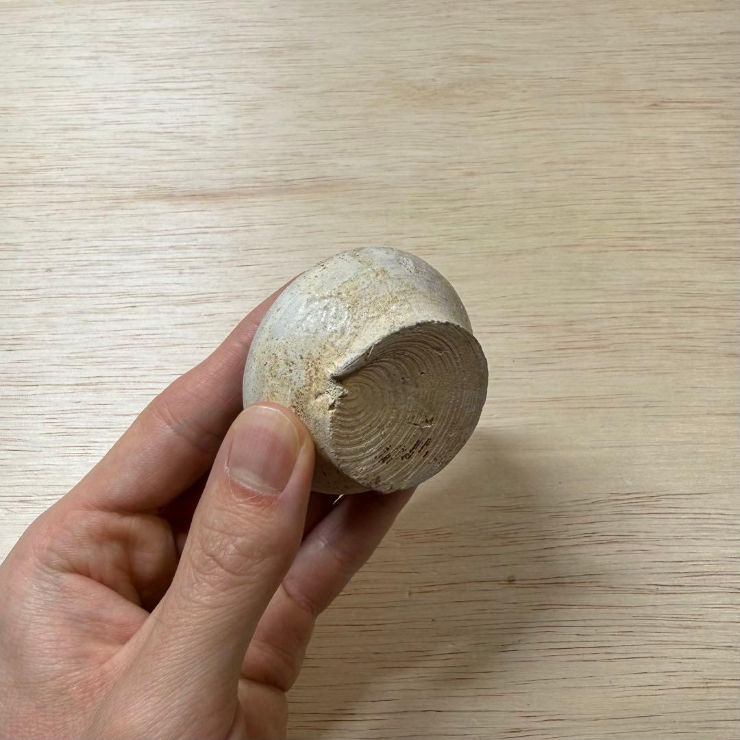 古瀬戸 小壷 蓋物 鎌倉時代 山茶碗 古美術 骨董 古常滑 古信楽 古美濃