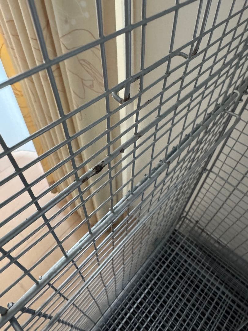 三晃商会　イージーホーム 60 ハイメッシュ　ブラック　２段重ね