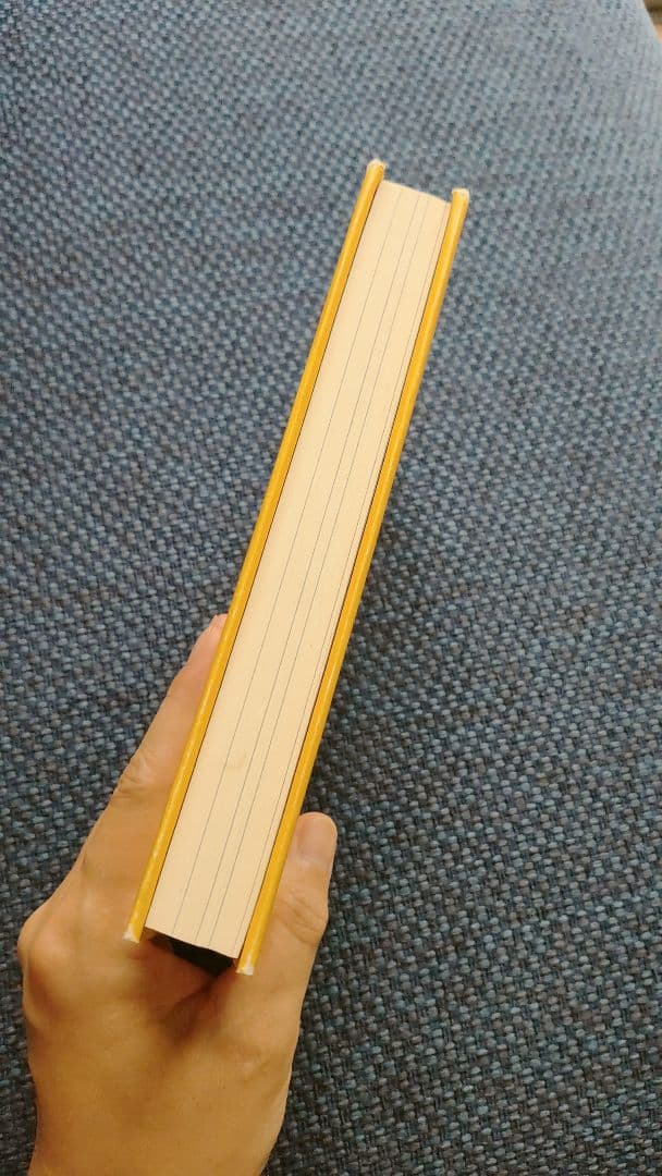 リアリティ トランサーフィン全4巻セット