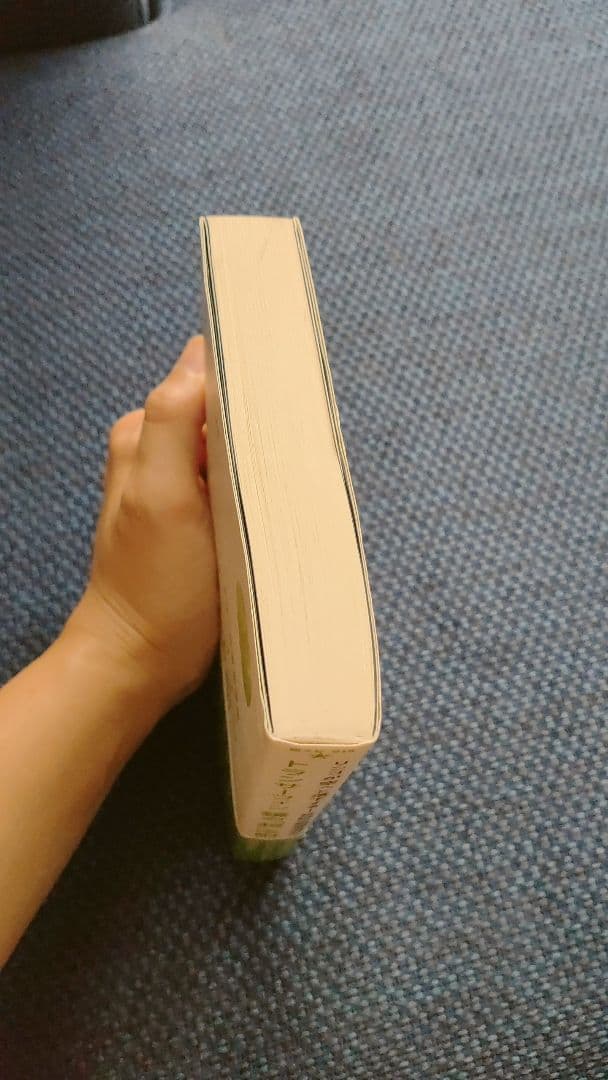 リアリティ トランサーフィン全4巻セット