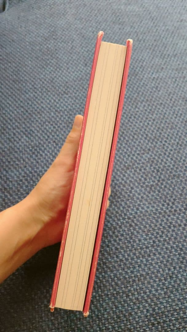 リアリティ トランサーフィン全4巻セット