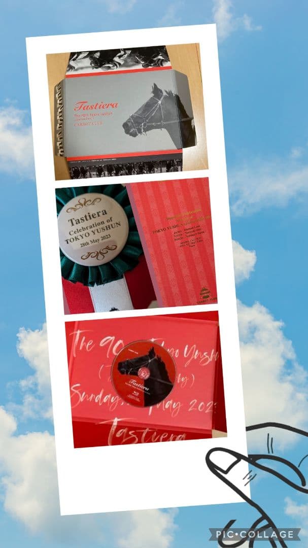 【非売品】タスティエーラ引退　Tastiera 東京優駿 2023 90周年記念