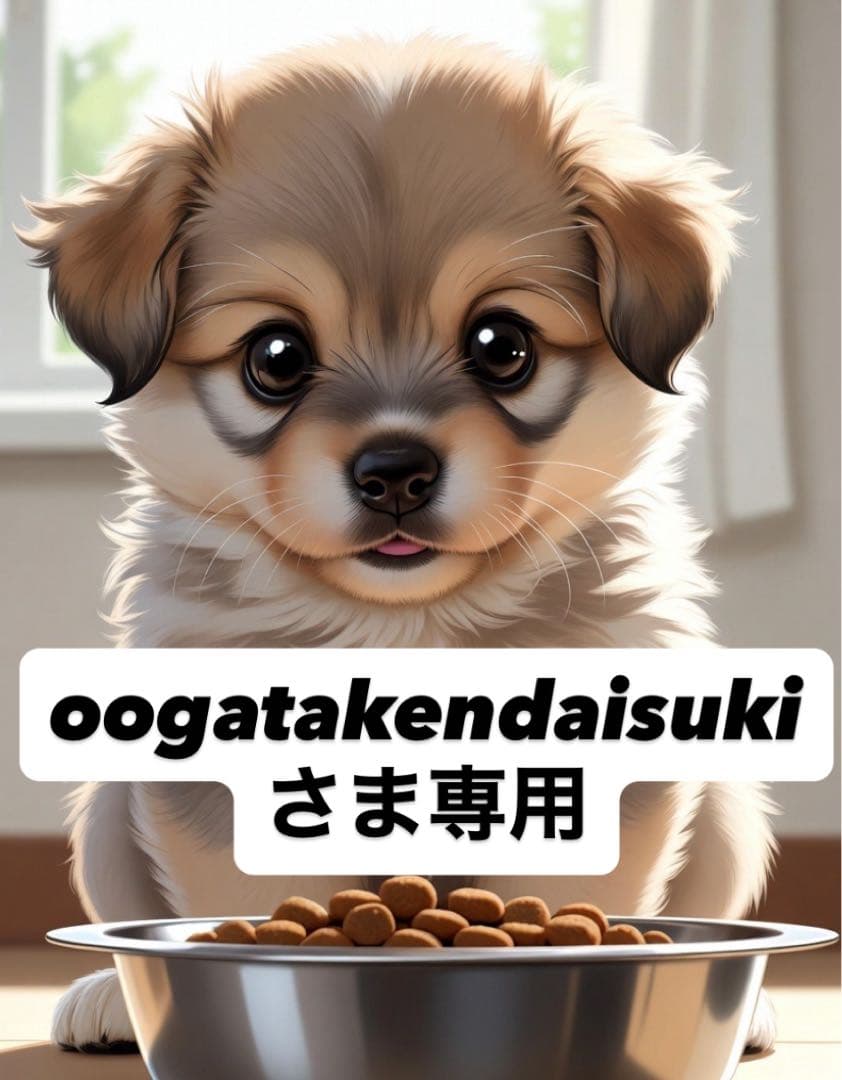 oogatakendaisukiさま専用