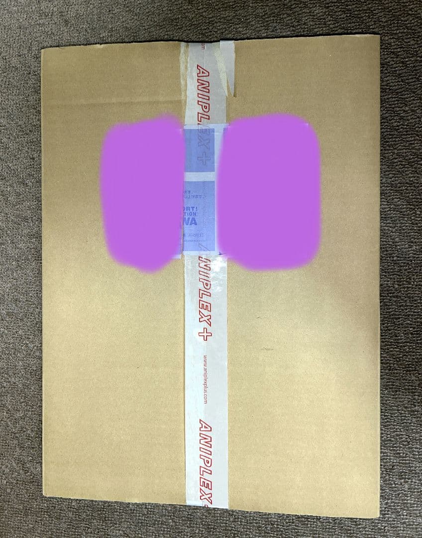 「限定当選品」 四条貴音 生原画 お姫ちん アイドルマスター 輝きの向こう側へ！