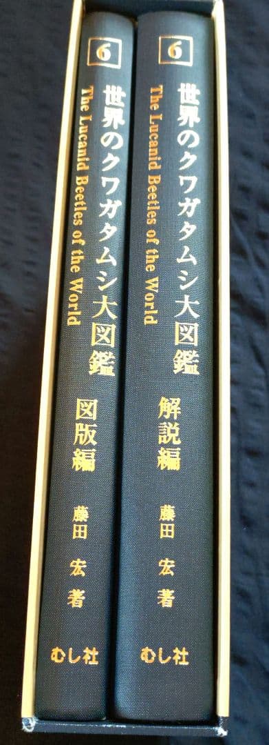 世界のクワガタムシ大図鑑 6