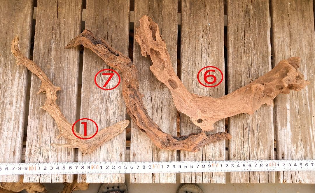 アクアリウム用品　レイアウト 良型 流木 Ｍ Ｌサイズ　７本セット