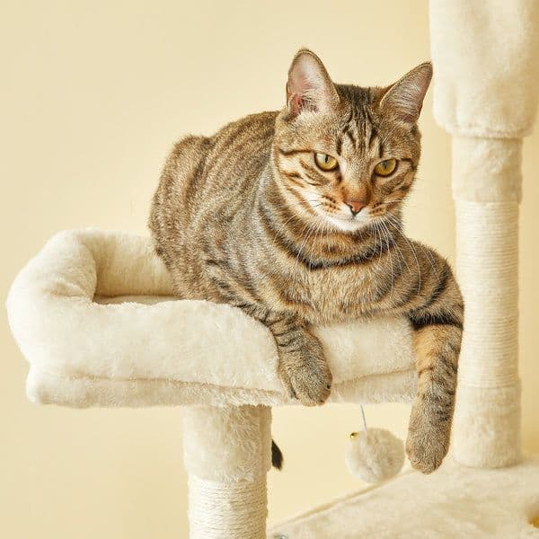 MWPO ベージュキャットタワー 高さ217-238cm