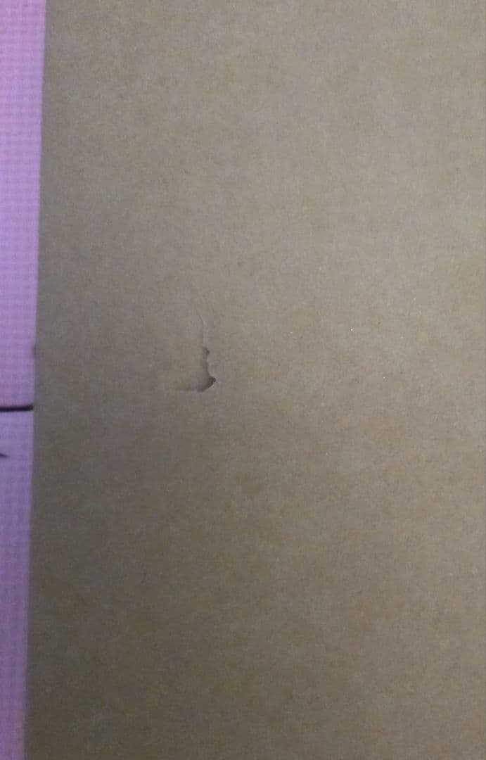 【新品未開封品】ドラゴンボール 複製原画2013ver.5DRAGONBALL