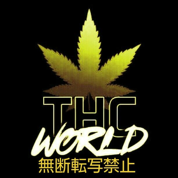 THC WORLD／Death Nyc アートポスター　アンディ・ウォーホール