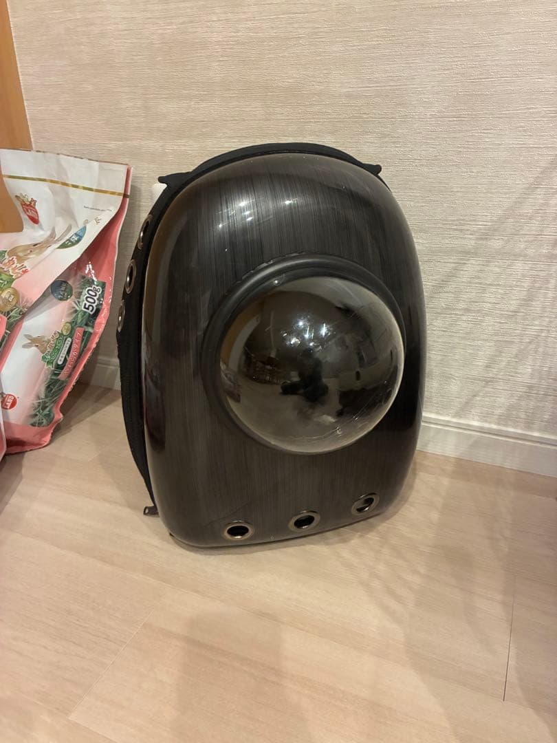 うさぎ　飼育セット