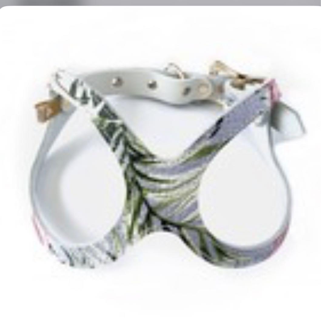 BUDDY BELT「バディーバハマ」 　　3,5号