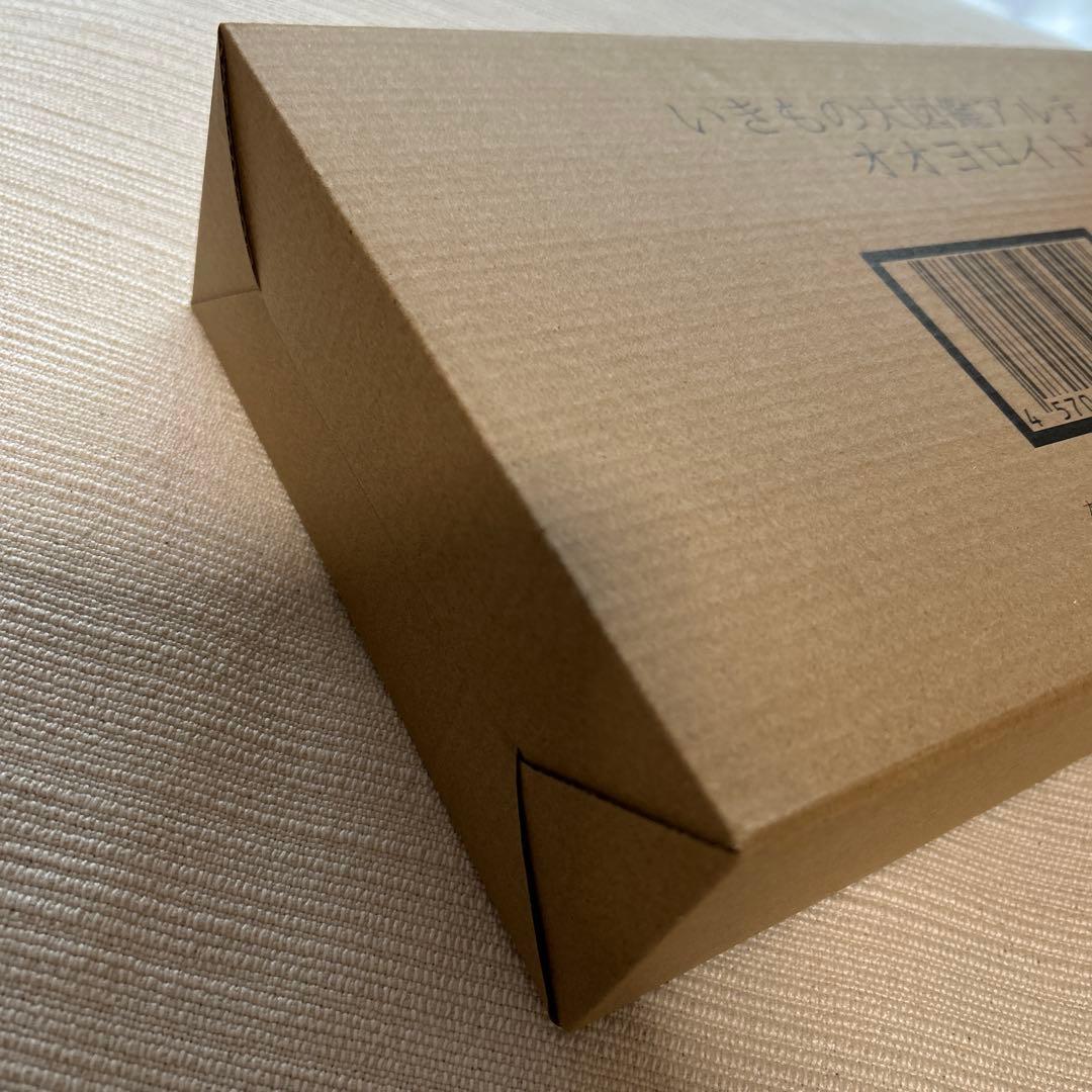 輸送箱未開封品　いきもの大図鑑アルティメット オオヨロイトカゲ