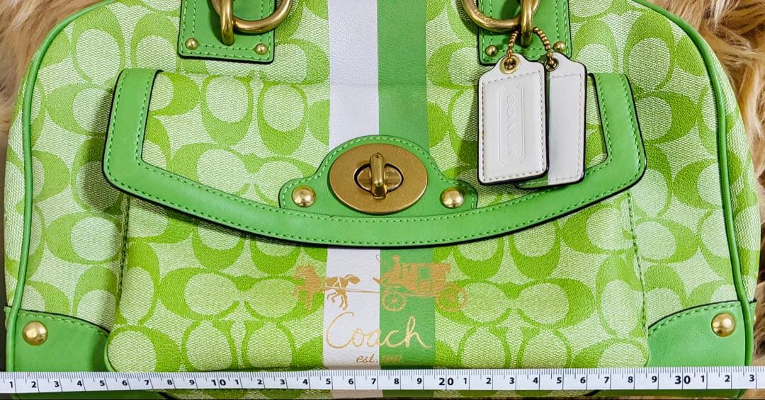 Coach ライトグリーン　ストライプ ハンドバッグ