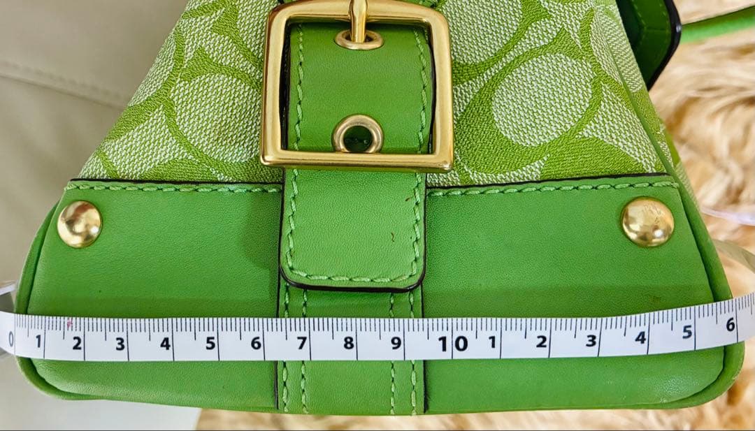 Coach ライトグリーン　ストライプ ハンドバッグ