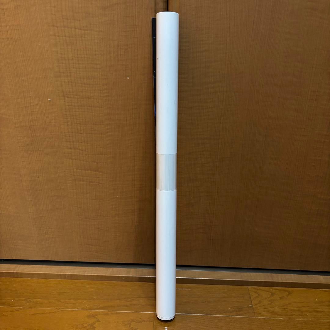 Roselia 初期メンバー 直筆サイン入りポスター バンドリ 当選